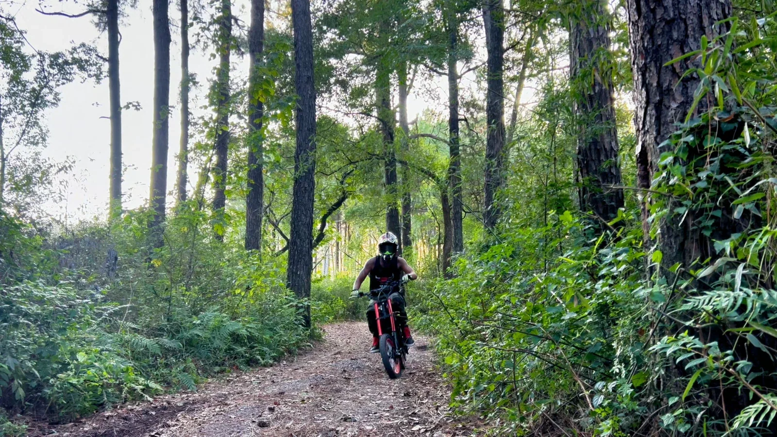 Electric dirt bike in a green off-road riding setting